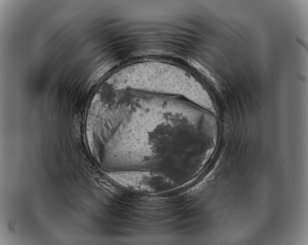 X0000091010921200708301354