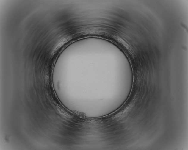 X0000091010922200708301354