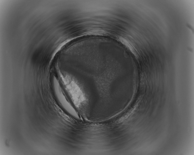 X0000091010923200708301354