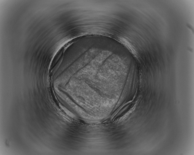 X0000091010924200708301354