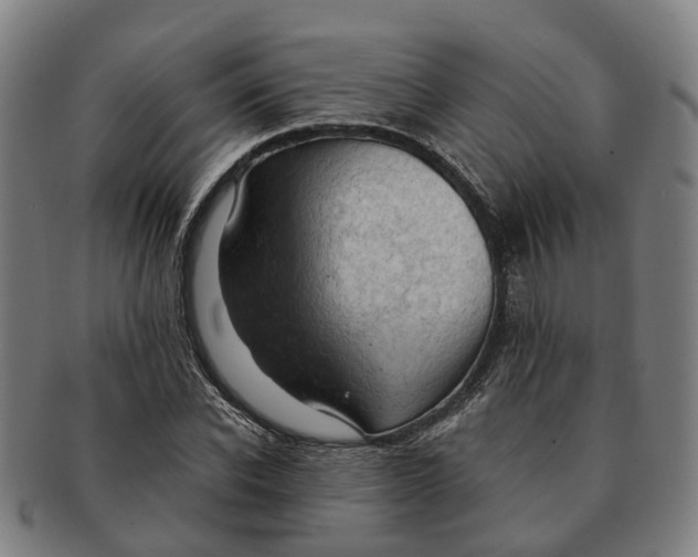 X0000091010926200708301354