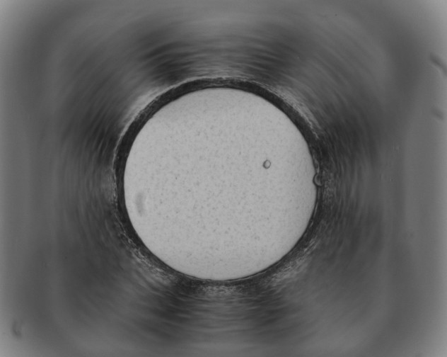 X0000091010927200708301354