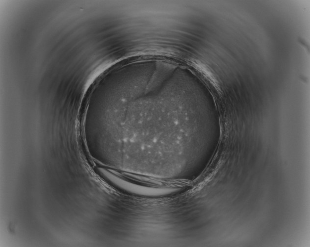 X0000091010928200708301354