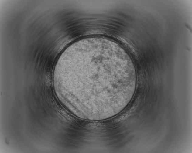 X0000091010929200708301354