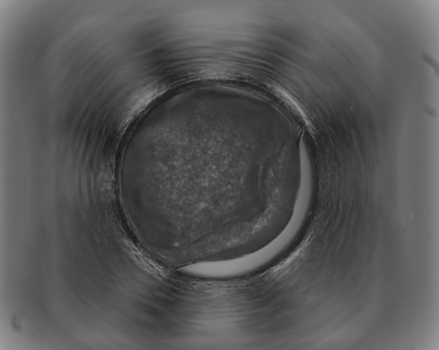 X0000091010930200708301354