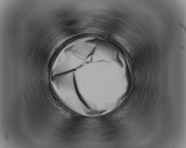 X0000091010931200708301354