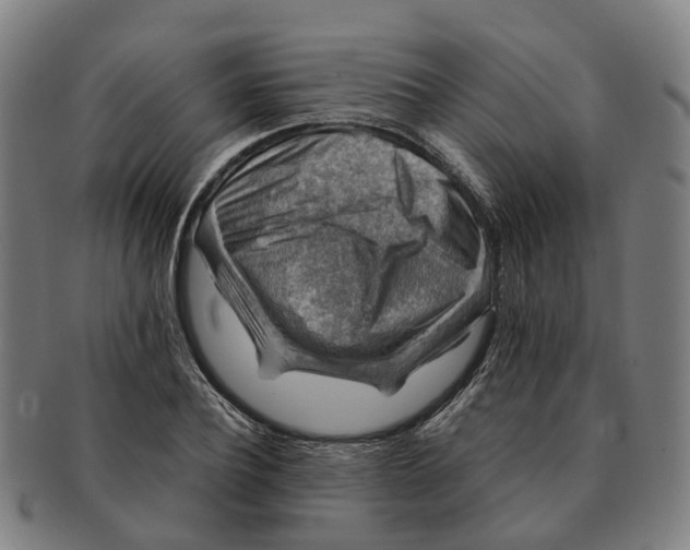 X0000091010932200708301354