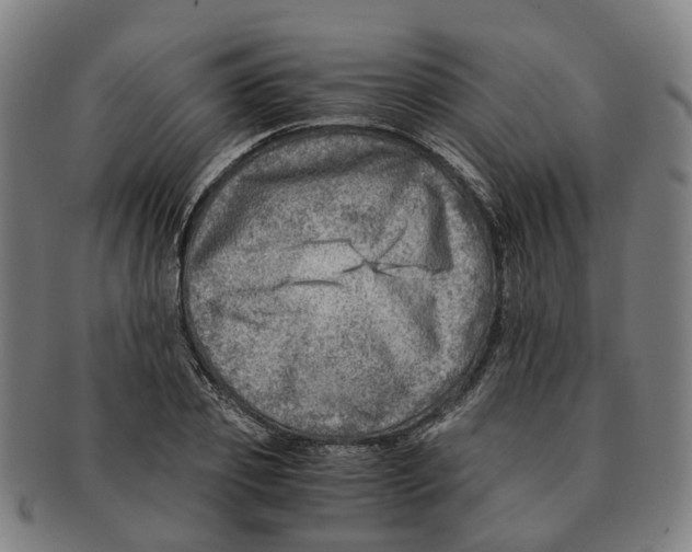 X0000091010933200708301354