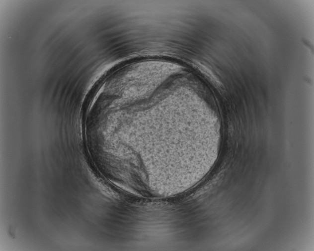 X0000091010934200708301354