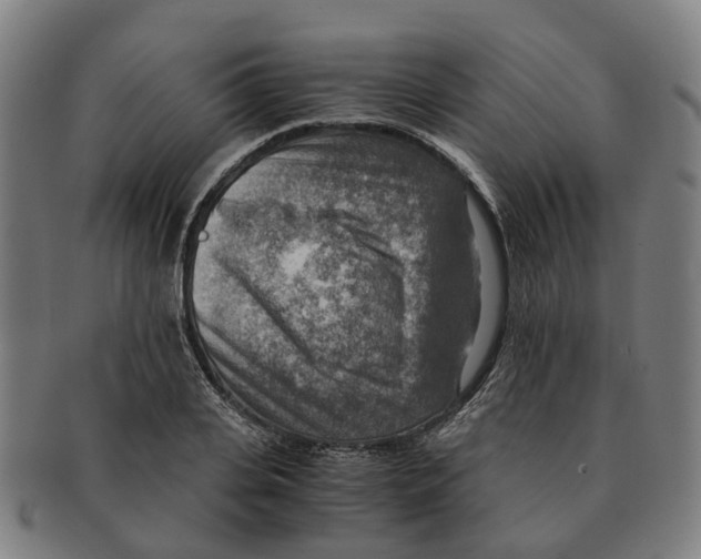 X0000091010935200708301354