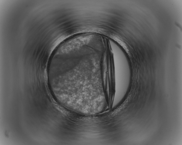 X0000091010936200708301354