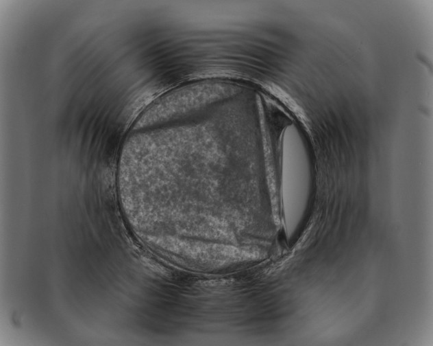 X0000091010937200708301354