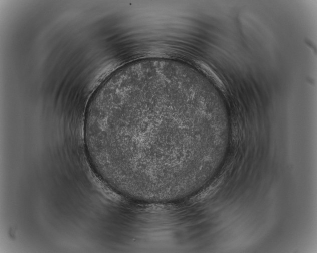 X0000091010938200708301354