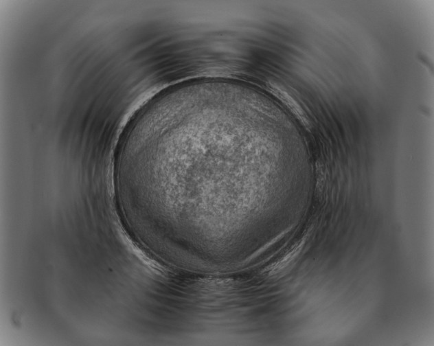 X0000091010939200708301354