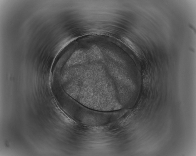 X0000091010940200708301354