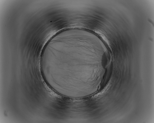 X0000091010941200708301354