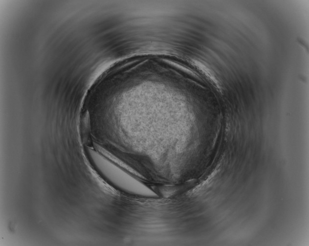 X0000091010942200708301354