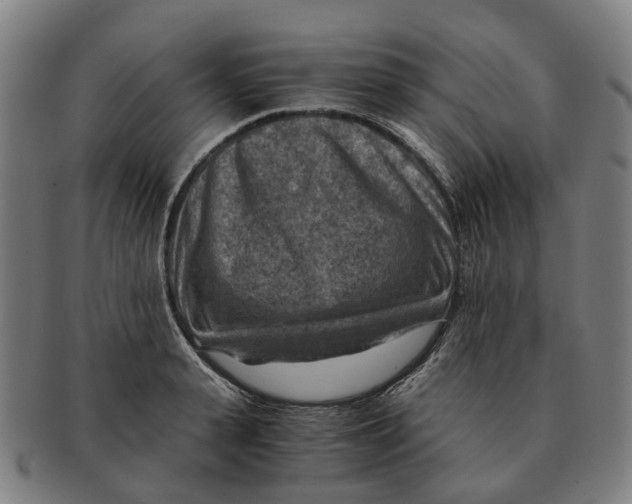 X0000091010943200708301354