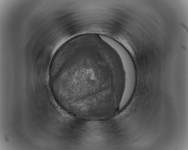 X0000091010944200708301354