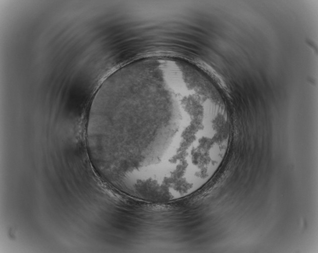 X0000091010945200708301354