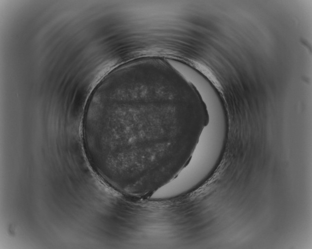 X0000091010946200708301354