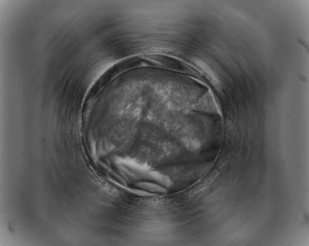 X0000091010948200708301355