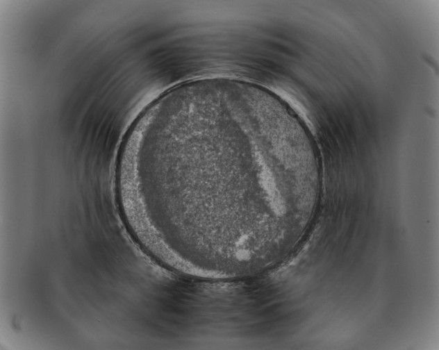 X0000091010949200708301355