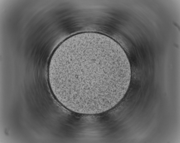 X0000091010950200708301355