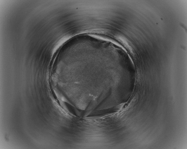 X0000091010952200708301355