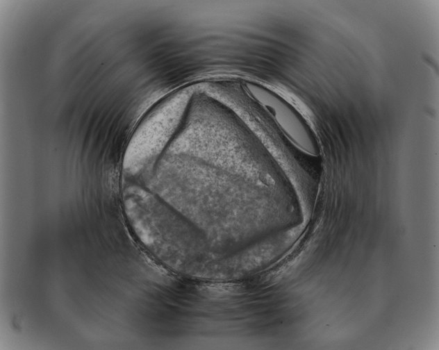 X0000091010953200708301355