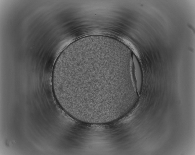 X0000091010954200708301355