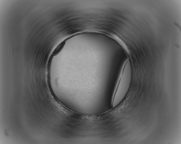 X0000091010955200708301355