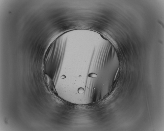 X0000091010956200708301355