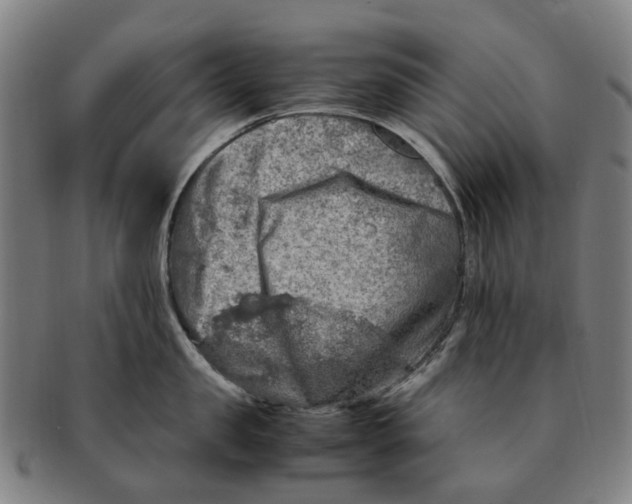 X0000091010957200708301355