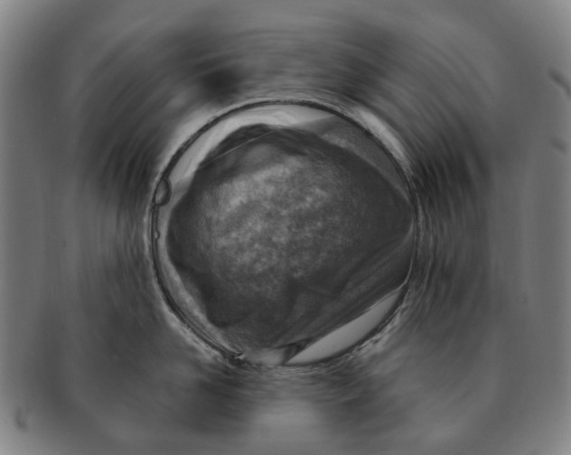 X0000091010958200708301355