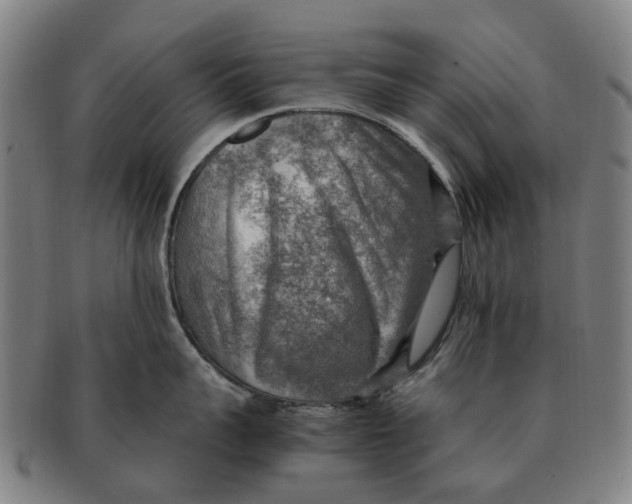 X0000091010959200708301355