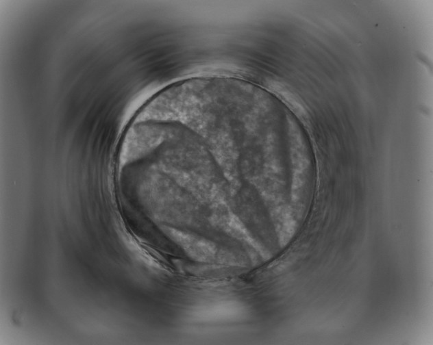 X0000091010960200708301355