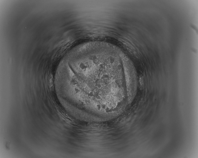 X0000091010963200708301354