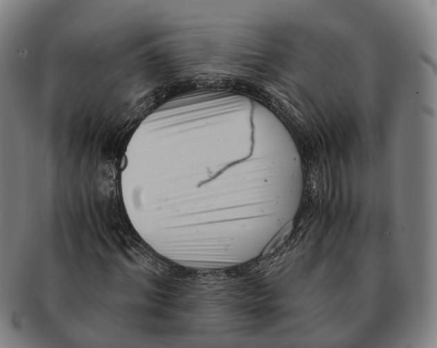 X0000091010964200708301354