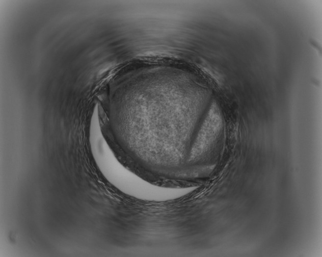 X0000091010965200708301354