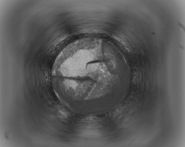 X0000091010966200708301354