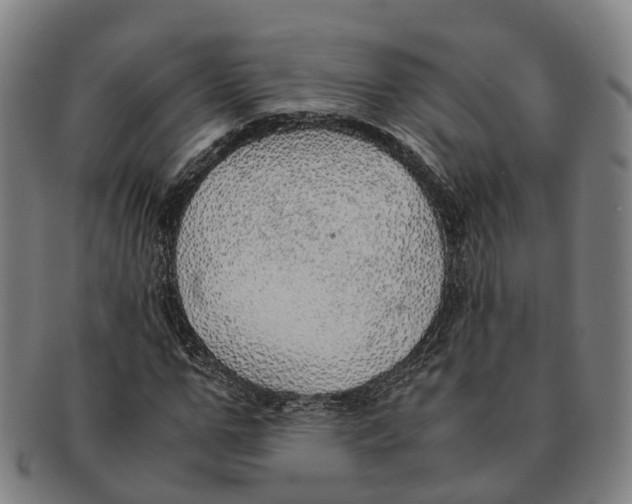 X0000091010967200708301354