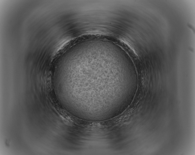 X0000091010968200708301354