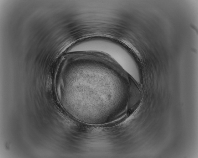 X0000091010969200708301354