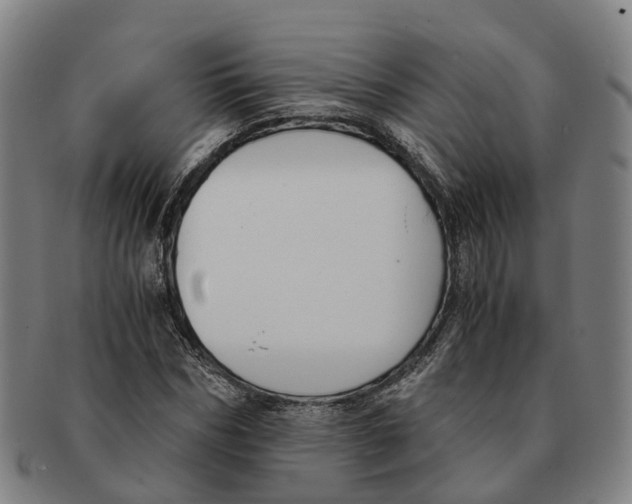 X0000091010970200708301354