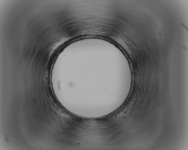 X0000091010971200708301354