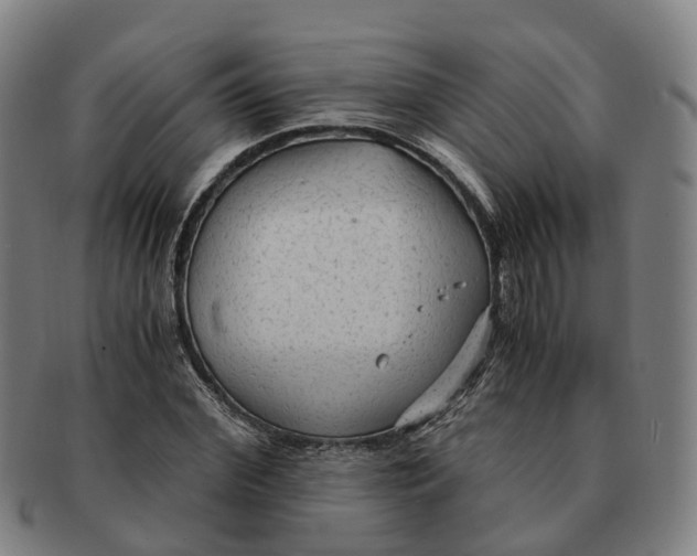 X0000091010972200708301354