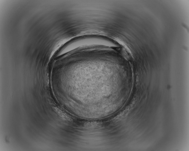 X0000091010973200708301354