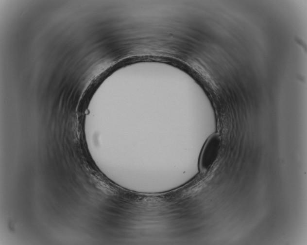 X0000091010974200708301354