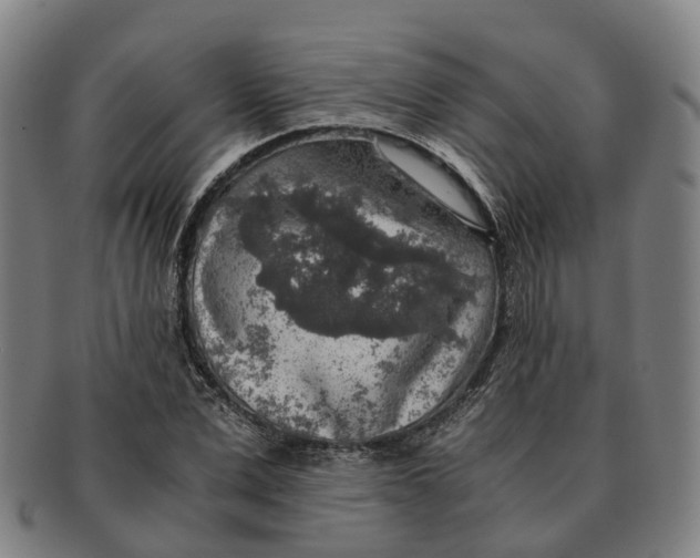 X0000091010975200708301353